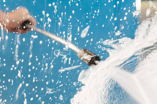 Best Roof Washing  in Dodson Branch, TN