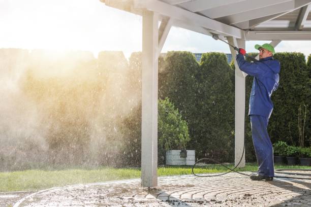 Best Sidewalk and Walkway Cleaning  in Dodson Branch, TN